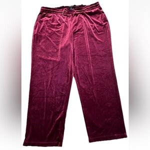 Torrid Burgundy Velour Pants Stretch Velvet Pull On Elastic Waist Size 3
